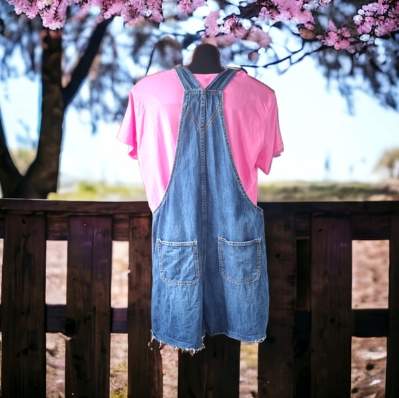 Gap Ladies Denim Short Overalls - Picture 3 of 9